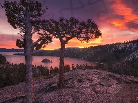 Kalifornia, Stany Zjednoczone, Drzewa, Tahoe Lake, Wyspa Fannette, Lasy, Jezioro, Park Emerald Bay