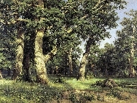 Las, Drzewa, Obraz