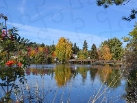 Drzewa, Jezioro, Most, Jesień