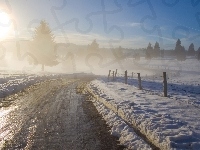 Drzewa, Słońce, Droga, Śnieg, Mgła