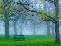 Ławka, Park, Drzewa, Mgła