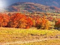 Drzewa, Góry, Pola, Jesień