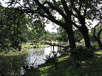 Drzewa, Park, Rzeka, Mostek