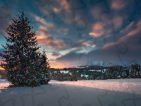Zima, Góry Tatry Bielskie, Śnieg, Słowacja, Wschód Słońca, Drzewa