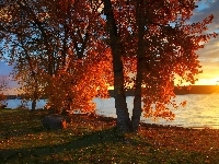 Drzewa, Rzeka, Jesień, Wschód słońca