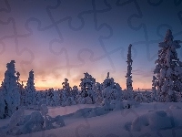 Laponia, Ośnieżone, Zachód słońca, Zima, Finlandia, Wzgórze Kuertunturi, Drzewa