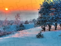 Drzewa, Zima, Zachód Słońca