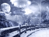 Drzewa, Księżyc, Zima, Noc