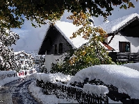 Zima, Domy, Śnieg, Drzewa