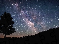 Gwiazdy, Drzewo, Noc