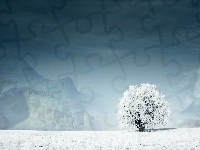 Śnieg, Samotne, Drzewo, Zaspy