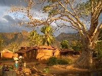 Drzewo, Tanzania, Góry, Wioska, Mieszkańcy