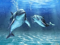 Dwa, Głębiny, Morskie, Delfiny