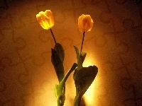 żółte, Dwa, Tulipany