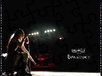 koncert, Evanescence, mikrofon
