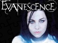 Usta, Evanescence, Amy Lee