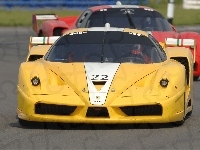 Ferrari FXX, Żółte, Wyścig