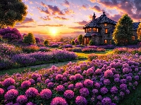 Zachód słońca, Kwiaty, Fioletowe, Oświetlony, Grafika, Dom