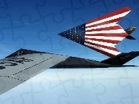 Flaga, F-117 Nighthawk, USA