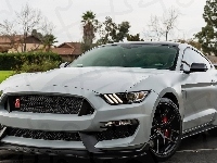 Ford Mustang GT350R, 2018