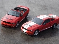 Ford Mustang, Mustang Shelby, Cabrio
