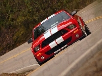 Ford Mustang, Shelby, Super