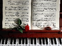 Pianino, Róża, Nuty, Kieliszek
