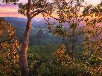 Gałęzie, Wschód słońca, Drzewa, Queensland, Góry, Numinbah Valley, Australia, Dolina