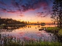 Gmina Ruovesi, Chmury, Trawy, Park Narodowy Helvetinjärvi, Drzewa, Finlandia, Jezioro Haukkajärvi, Zachód słońca