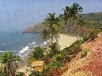 Goa, Plaża, Palmy, Indie