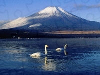 Góra, Japonia, Jezioro, Łabędzie, Fudżi