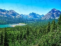 Góry, Stan Montana, Drzewa, Stany Zjednoczone, Park Narodowy Glacier, Jezioro Saint Mary Lake