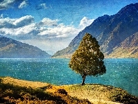 Góry, Nowa Zelandia, Jezioro, Drzewo, Hawea