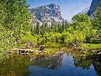 Stan Kalifornia, Góry, Odbicie, Jezioro, Stany Zjednoczone, Park Narodowy Yosemite, Drzewa