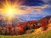 Góry, Promienie Słońca, Jesienny, Krajobraz, Las