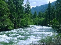 Rzeka, Stan Kalifornia, Góry, Stany Zjednoczone, Park Narodowy Yosemite, Las