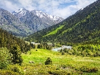 Rzeka, Góry Ałatau Dżungarski, Chmury, Kazachstan, Wąwóz, Las