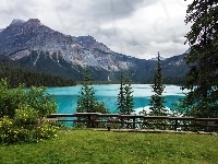 Jezioro, Lasy, Kanada, Park Narodowy Yoho, Góry