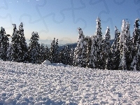Góry, Zima, Śnieg, Kanada