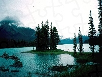Góry, Alberta, Jezioro, Wysepka, Drzewa
