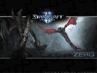grafika, skrzydła, Starcraft 2, logo
