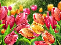 Grafika, Kwiaty, Tulipany