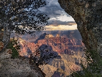 Drzewa, Kanion, Skały, Stany Zjednoczone, Park Narodowy Wielkiego Kanionu, Grand Canyon, Arizona