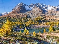 Gryzonia, Kamienie, Drzewa, Góry Alpy, Jezioro Lago di Val Viola, Szwajcaria, Dolina Val Poschiavo, Jesień