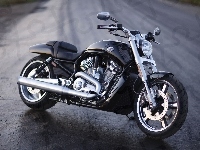 Masywna, Harley Davidson V-Rod Muscle, Chłodnica
