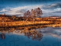 Jezioro Loch Bà, Region Highlands, Drzewa, Szkocja, Góry Rannoch Moor, Jesień