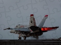Hornet, F/A-18, Dopalacze