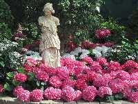 Hortensje, Ogród, Park, Posąg