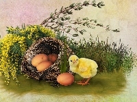 Kurczaczek, Jajka, Wielkanoc