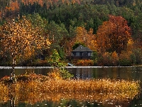 Las, Jesień, Drzewa, Dom, Jezioro